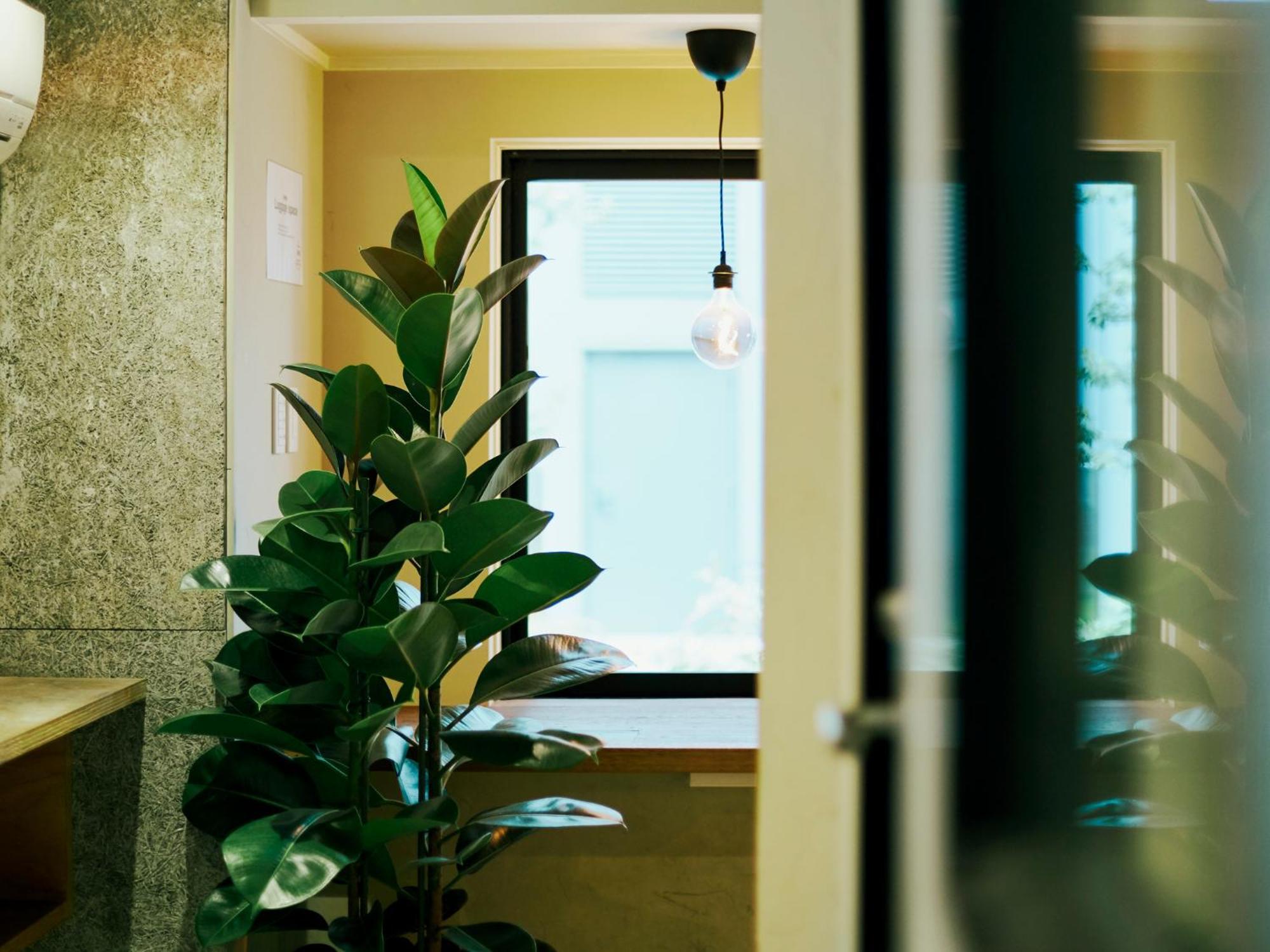 Akasaka Guesthouse Hive طوكيو المظهر الخارجي الصورة